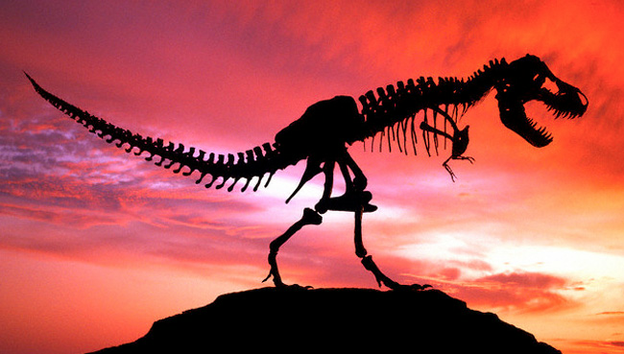 Los científicos confirman el descubrimiento de tejido orgánico de dinosaurio