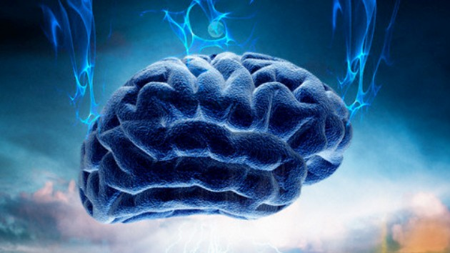 Científicos boquiabiertos: el cerebro humano es capaz de mantener la 'eterna juventud'