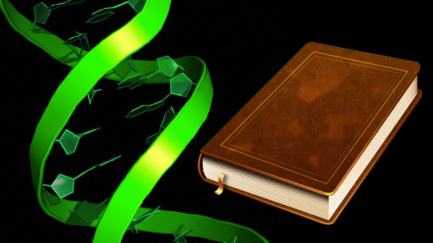 ‘Imprimen’ un libro en una molécula de ADN